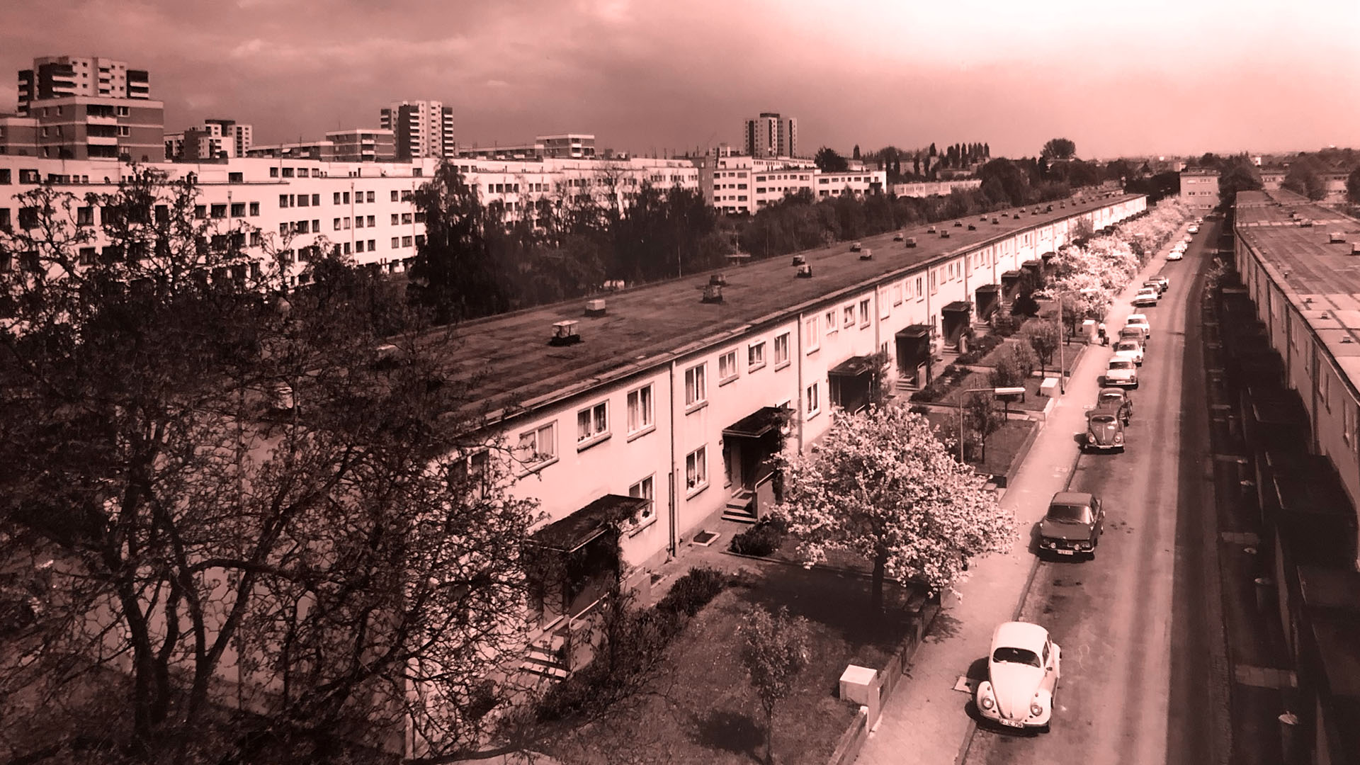 Römerstadt mit Blick nach Nordwesten (Historisches Luftbild, Klaus Meier-Ude, 1969) [Darstellung farblich geändert]